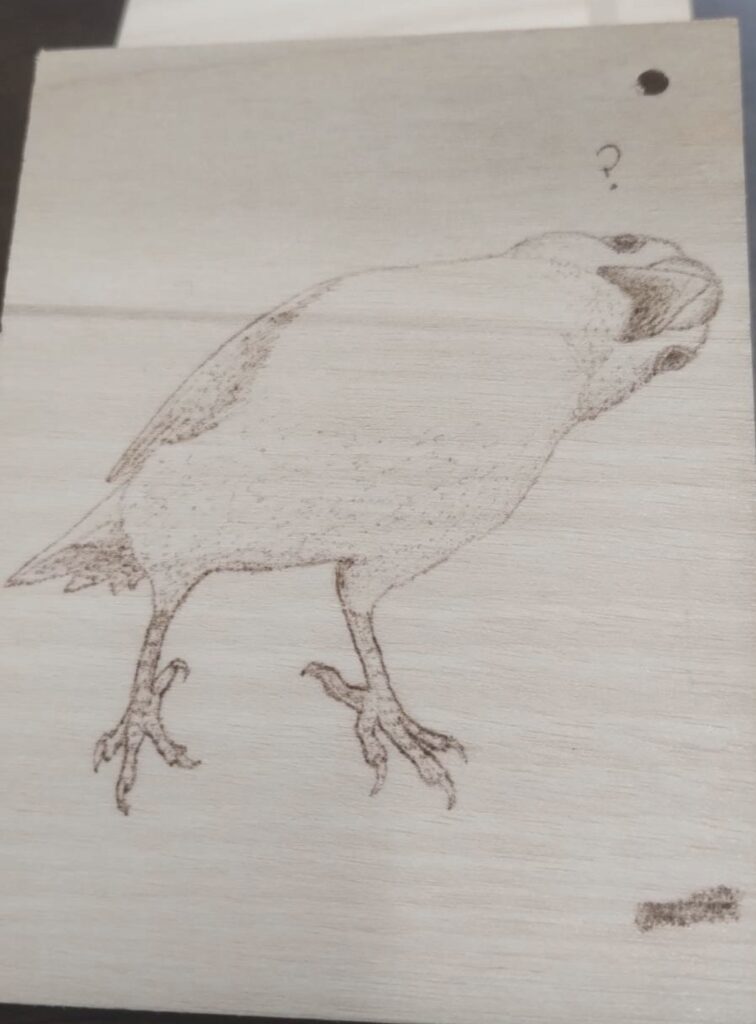 この５枚の絵は板に焼き鏝で鳥の絵を焼き上げた物です