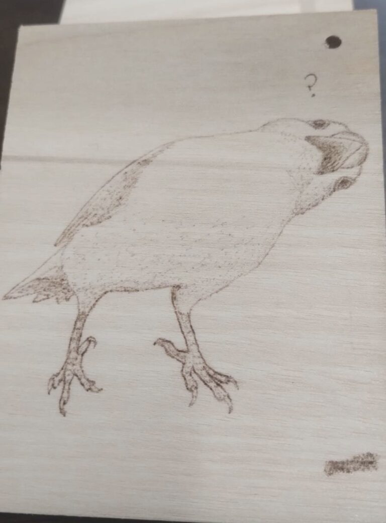 この５枚の絵は板に焼き鏝で鳥の絵を焼き上げた物です